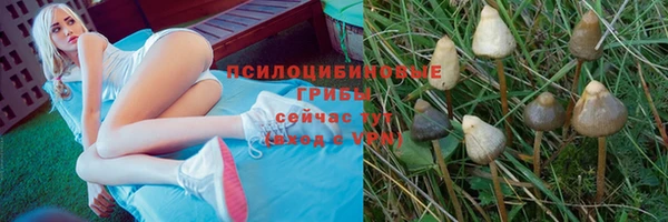 каннабис Корсаков