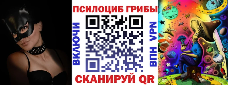 Галлюциногенные грибы Psilocybine cubensis блэк спрут ONION Пенза
