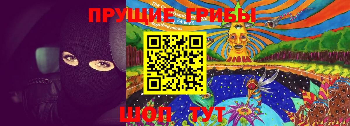 Псилоцибиновые грибы Psilocybine cubensis Пенза