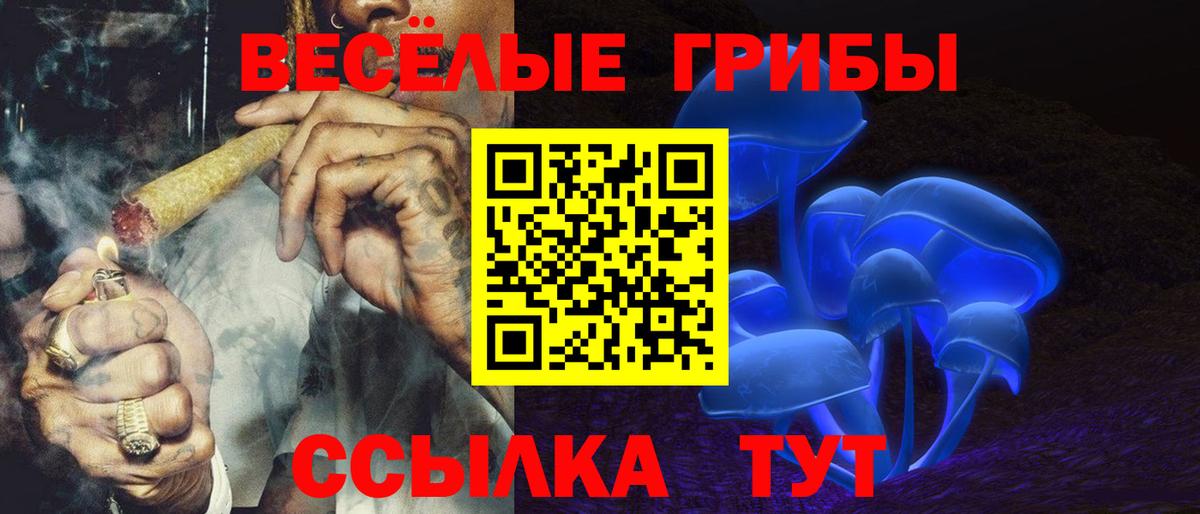 Псилоцибиновые грибы Magic Shrooms  Вход с VPN  Пенза 