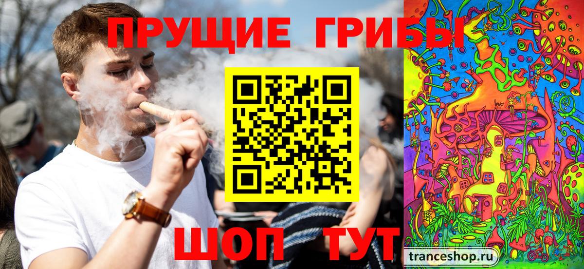 Галлюциногенные грибы Psilocybe Пенза