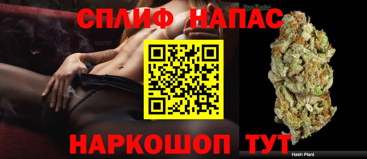 Каннабис ГИДРОПОН  Канабис гибрид  Пенза  Каннабис конопля 